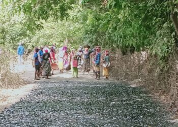 उसर मार्गे रोहा रस्त्याचे काम सुरू; शेकाप नेत्यांच्या प्रयत्नांना यश
