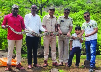 सर्पमित्रांनी दिले अजगराला जीवनदान