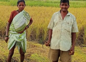 अनुभवाच्या जोरावर पिकविला वाडा कोलम