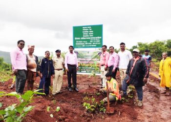 वृक्ष संवर्धन अत्यावश्यक