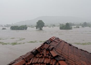 आपटा गावाची पुरापासून सुटका कधी?