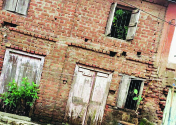 हनुमान कोळीवाड्यातील वीस घरे वाळवीग्रस्त