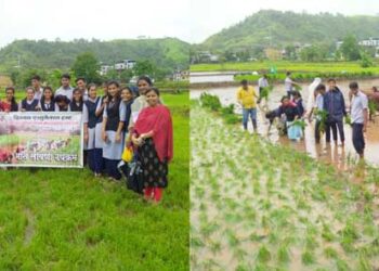 विद्यार्थ्यांना दिले भातलावणीचे धडे