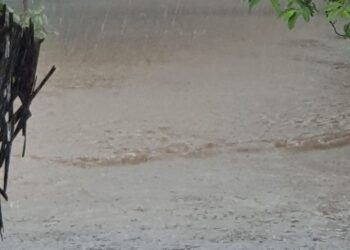 मुरूड तालुक्यात रेकॉर्ड ब्रेक पाऊस