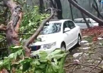 माथेरान वाहनतळावर गाडीवर झाड कोसळले; जीवितहानी नाही