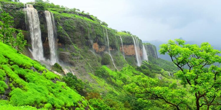 ताम्हणी घाटातील धबधबे, जैवविविधतेची भुरळ