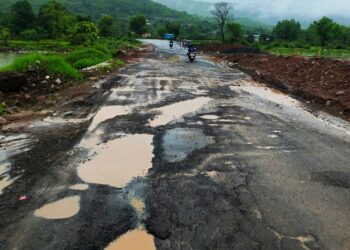 पाली अंबा नदी पुलाची दैना