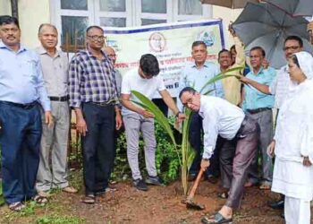 कर्जत तालुक्यात श्रीसदस्यांतर्फे वृक्षारोपण