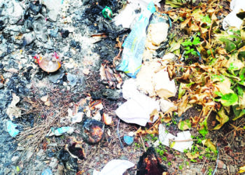 दुधाची भुकटी जाळल्याप्रकरणी कारवाईस टाळाटाळ