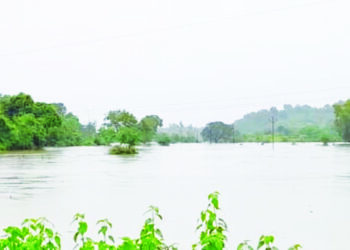 जिल्ह्यात सुधागड तालुक्यात सर्वाधिक पाऊस