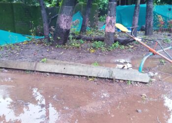 महावितरणला जबाबदारीचा विसर