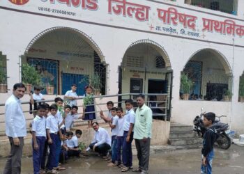 तोंडरे येथे वृक्षारोपण