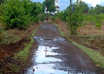 देवपाडा ग्रामस्थांचे खड्ड्यांमुळे हाल