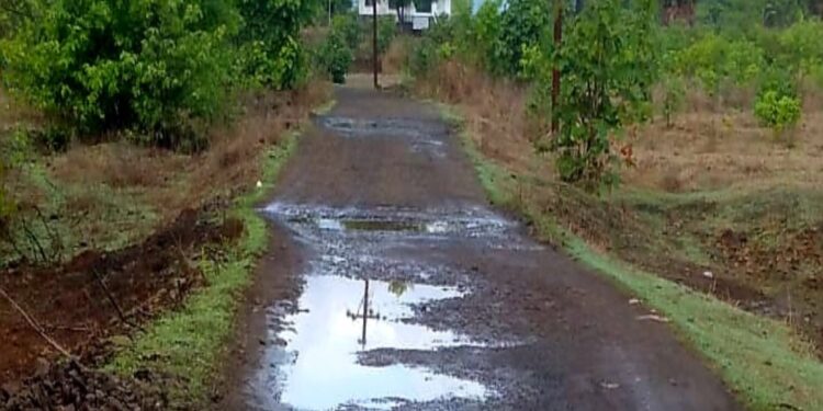 देवपाडा ग्रामस्थांचे खड्ड्यांमुळे हाल