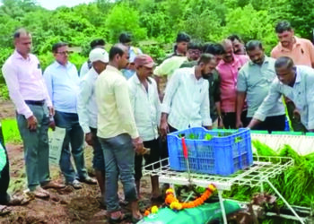 तळा येथे प्रथमच यंत्राद्वारे भातलागवड