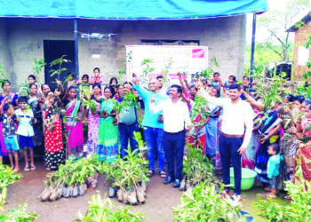 फळ लागवडीतून होणार आदिवासींची उन्नती