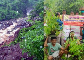 दरडग्रस्त गावामध्ये रोहयोमधून बांबू लागवड प्रकल्प