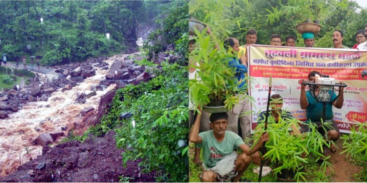 दरडग्रस्त गावामध्ये रोहयोमधून बांबू लागवड प्रकल्प