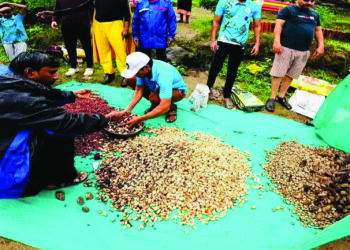 कोमनादेवी ऑक्सिजन पार्कमध्ये बीजारोपण