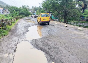 दोन्ही बाजूला खड्डे झाल्याने विहूर पुलाची दुरवस्था