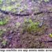 पोलादपूर तालुक्यातील डोंगराला भेगा ; ग्रामस्थांना स्थलांतरित होण्याच्या सूचना