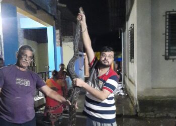 सर्पमित्राकडून अजगराला जीवदान