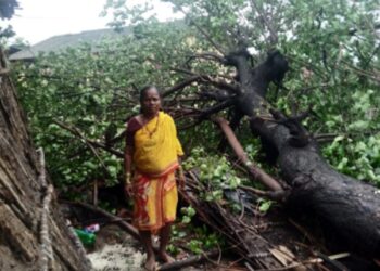 Rainy Weather! विद्युत पोलासह घरावर झाड कोसळले; घरांचे नुकसान