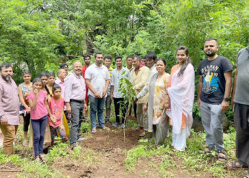 वन जमिनीसह आदिवासी वाड्यांवर वृक्षारोपण