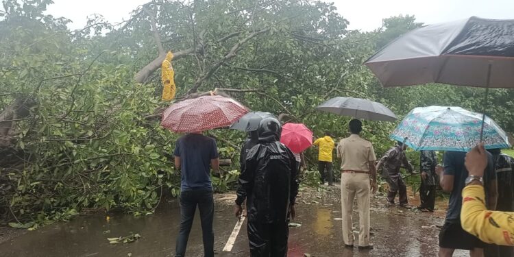कोलाड-भीरा रस्त्यावरील वाहतूक सुरळित; कोलाड पोलिसांचा पुढाकार