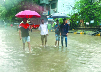 कामोठे परिसराची नगरसेवकांकडून पाहणी