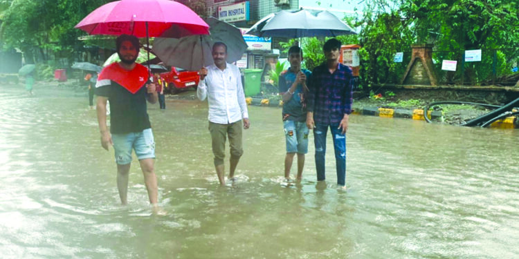 कामोठे परिसराची नगरसेवकांकडून पाहणी