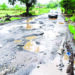 महाड- म्हाप्रळ- पंढरपूर मार्गाची दुरवस्था