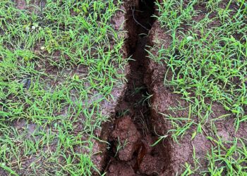 धोकादायक महाड! बावळे परिसरातील डोंगराला 20 मीटरची भेग