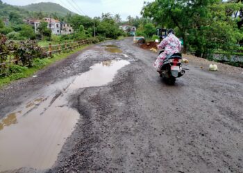विहूर पुलावरील खड्ड्यांमुळे अपघातांची मालिका सुरूच