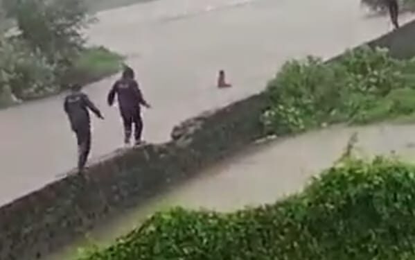 नेरळजवळील नाल्यात अडकलेल्या तरुणाचा पहा चित्तथरारक व्हिडिओ