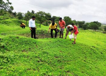 लायन्सक्लब वतीने बियाण्यांची लागवड