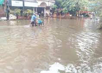 पारगाव डुंगी गावातील पूरपरिस्थितीची पाहणी