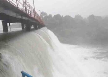 पावसामुळे पाणीकपातीचे संकट दूर