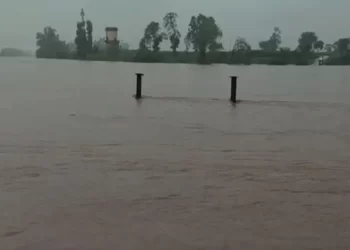 पंचगंगेची पाणी पातळी 7 फुटांनी वाढली, कोल्हापुरात मुसळधार पाऊस