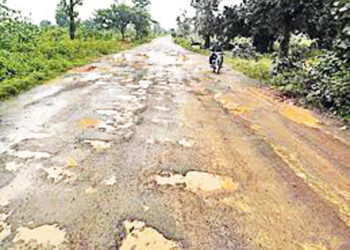 खड्ड्यांमुळ वाहनचालक त्रस्त