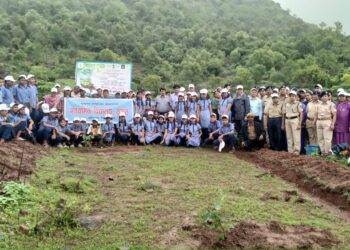 वन महोत्सवांतर्गत वृक्षलागवड सुरू