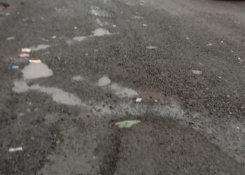 वशेणी- दिघाटी रस्त्याची दुरवस्था