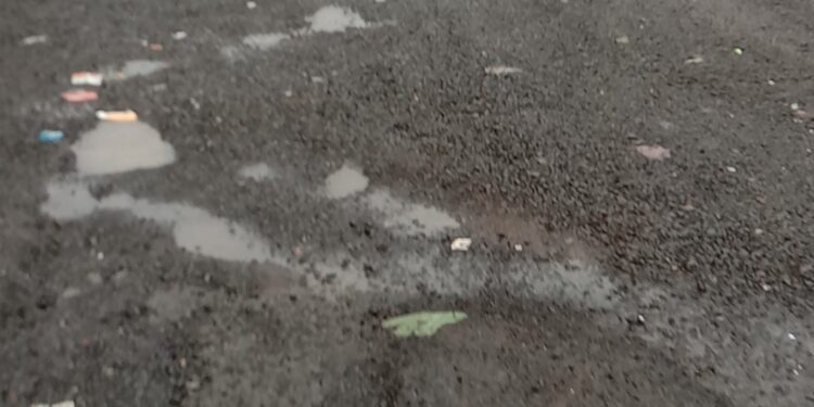 वशेणी- दिघाटी रस्त्याची दुरवस्था