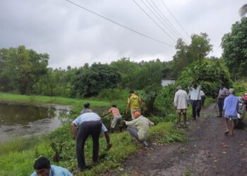 गणेशोत्सवाआधी खारीतील तलावाची सफाई
