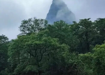 भीमाशंकर अभयारण्यात वनविभागाकडून स्वच्छता कर