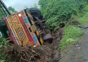 ट्रेलर झाला पलटी; चालकविरोधात गुन्हा दाखल