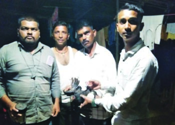 सुधागडात शेकडो कोंबड्यांचा अचानक मृत्यू