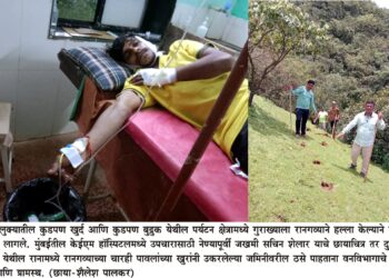 पोलादपूर: गुराख्यावर रानगव्याचा हल्ला