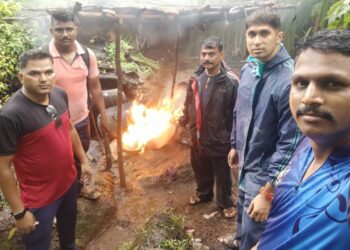 चेराठी जंगलातील हातभट्ट्या उध्वस्त