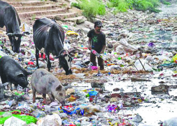 पनवेल ग्रामीणमध्ये प्लास्टिकबंदी; ग्रामीण भागात प्लास्टिकचा सर्रास वापर